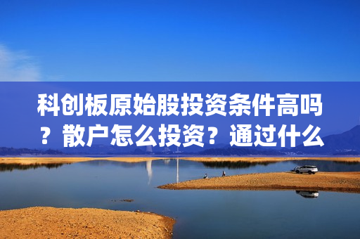 科创板原始股投资条件高吗？散户怎么投资？通过什么渠道？(科创板原始股一般多少钱一股)