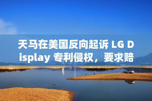 天马在美国反向起诉 LG Display 专利侵权,要求赔偿和产品禁令 天马在美国反向起诉 LG Display 专利侵权,要求赔偿和产品禁令