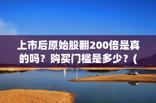 上市后原始股翻200倍是真的吗？购买门槛是多少？(上市原始股能翻倍)