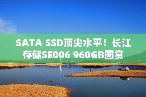 SATA SSD顶尖水平！长江存储SE006 960GB图赏