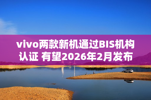 vivo两款新机通过BIS机构认证 有望2026年2月发布