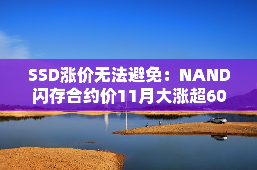 SSD涨价无法避免：NAND闪存合约价11月大涨超60%