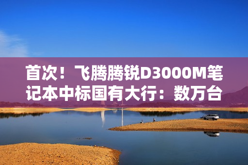 首次！飞腾腾锐D3000M笔记本中标国有大行：数万台规模