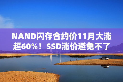 NAND闪存合约价11月大涨超60%!SSD涨价避免不了 NAND闪存合约价11月大涨超60%!SSD涨价避免不了