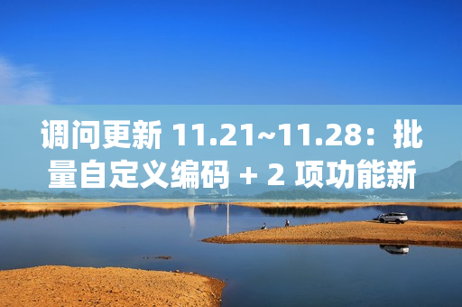 调问更新 11.21~11.28：批量自定义编码 + 2 项功能新增 + 4 项功能优化 + 7 项 BugFix