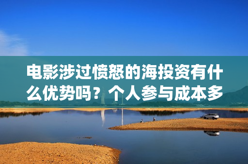 电影涉过愤怒的海投资有什么优势吗？个人参与成本多少？(电影涉过愤怒的海演员表)