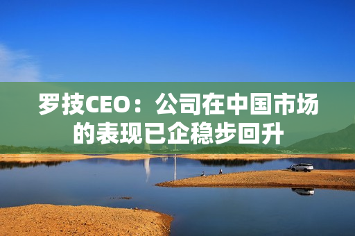 罗技CEO：公司在中国市场的表现已企稳步回升