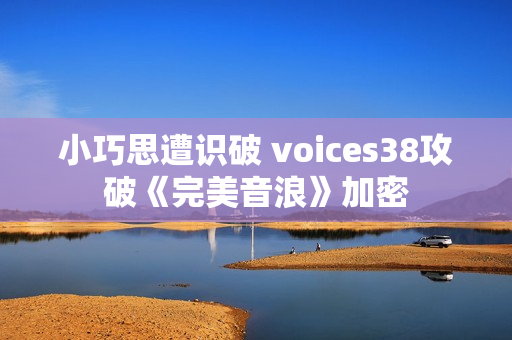 小巧思遭识破 voices38攻破《完美音浪》加密