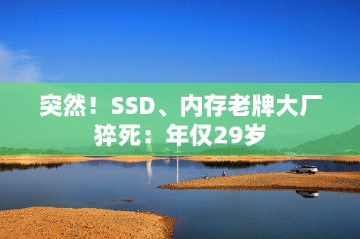 突然！SSD、内存老牌大厂猝死：年仅29岁