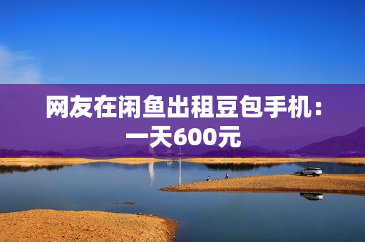 网友在闲鱼出租豆包手机：一天600元