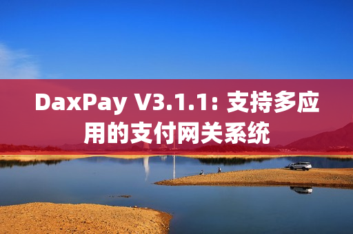 DaxPay V3.1.1: 支持多应用的支付网关系统