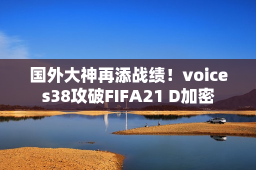 国外大神再添战绩！voices38攻破FIFA21 D加密