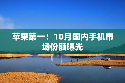 苹果第一！10月国内手机市场份额曝光