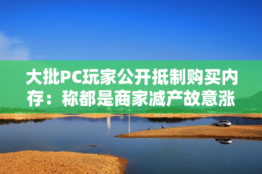 大批PC玩家公开抵制购买内存：称都是商家减产故意涨价 真相扎心了