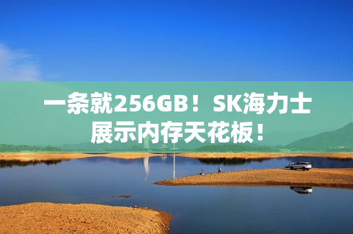 一条就256GB！SK海力士展示内存天花板！