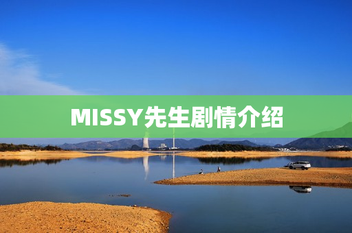 MISSY先生剧情介绍 MISSY先生剧情介绍
