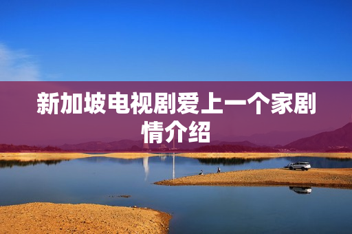 新加坡电视剧爱上一个家剧情介绍