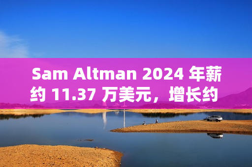 Sam Altman 2024 年薪约 11.37 万美元，增长约 50%