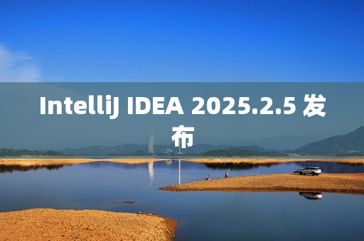 IntelliJ IDEA 2025.2.5 发布 IntelliJ IDEA 2025.2.5 发布