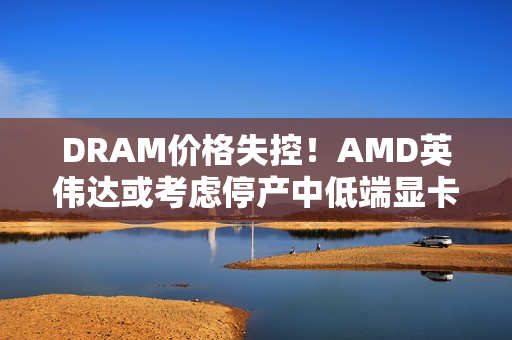 DRAM价格失控！AMD英伟达或考虑停产中低端显卡！
