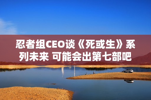 忍者组CEO谈《死或生》系列未来 可能会出第七部吧