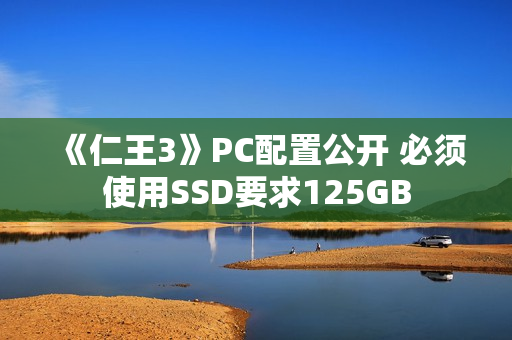 《仁王3》PC配置公开 必须使用SSD要求125GB