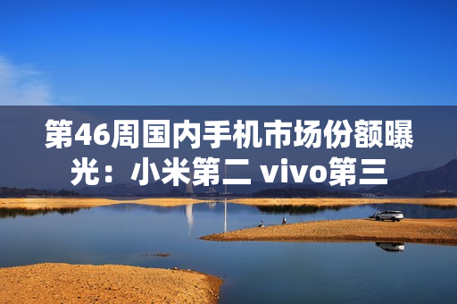 第46周国内手机市场份额曝光：小米第二 vivo第三