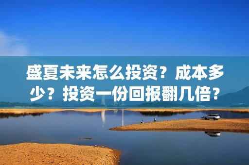 盛夏未来怎么投资？成本多少？投资一份回报翻几倍？(盛夏未来哪个平台)