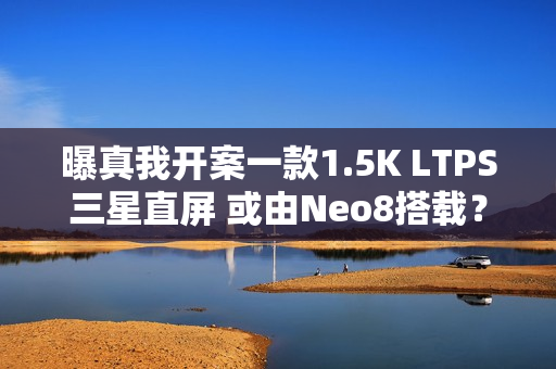 曝真我开案一款1.5K LTPS三星直屏 或由Neo8搭载？