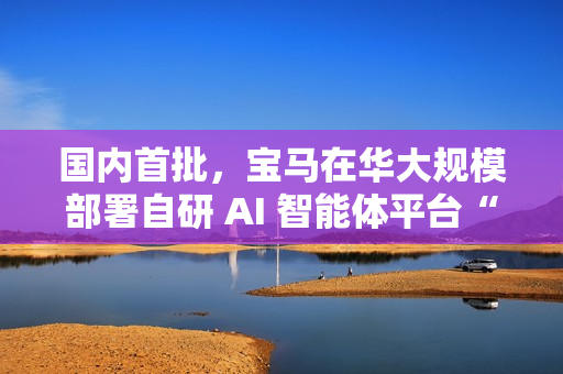 国内首批，宝马在华大规模部署自研 AI 智能体平台“盖亚”