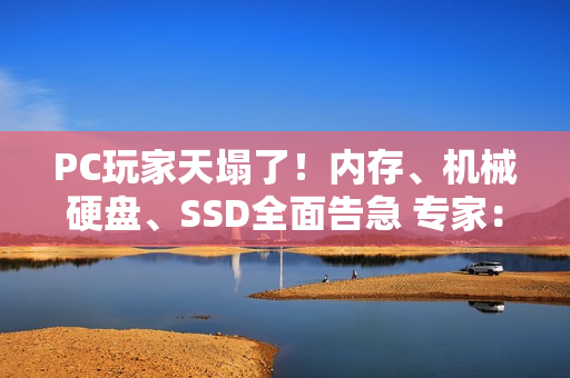 PC玩家天塌了！内存、机械硬盘、SSD全面告急 专家：将涨价十年