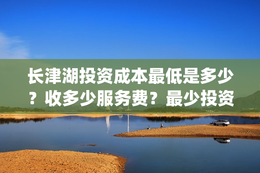 长津湖投资成本最低是多少？收多少服务费？最少投资多少钱？(长津湖投资成本高吗)