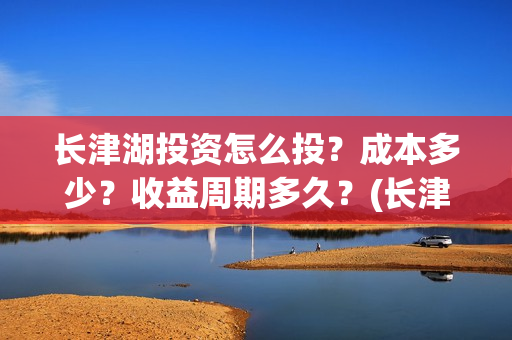 长津湖投资怎么投？成本多少？收益周期多久？(长津湖投资太大估计亏本)