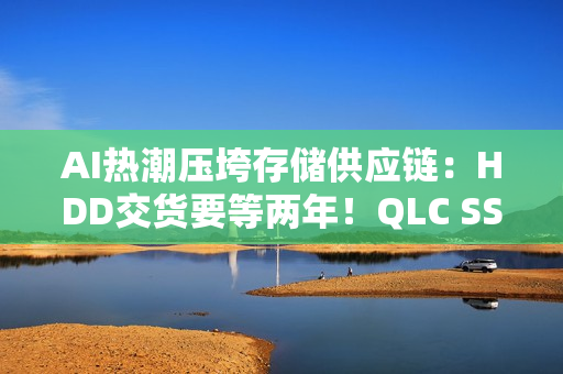 AI热潮压垮存储供应链：HDD交货要等两年！QLC SSD加速替代