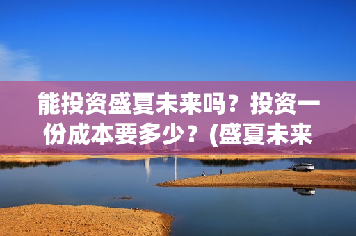 能投资盛夏未来吗？投资一份成本要多少？(盛夏未来电影投资项目)
