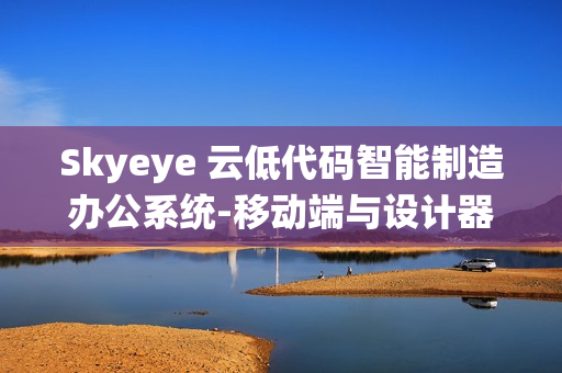 Skyeye 云低代码智能制造办公系统-移动端与设计器功能升级 - Saas v3.17.11 发布