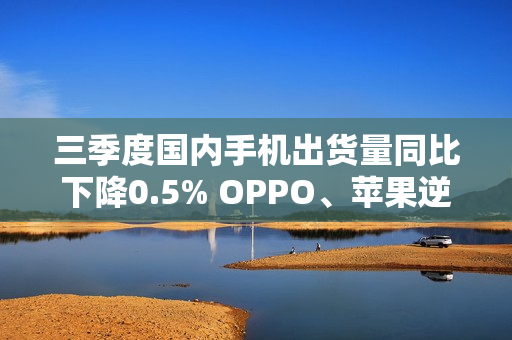 三季度国内手机出货量同比下降0.5% OPPO、苹果逆增