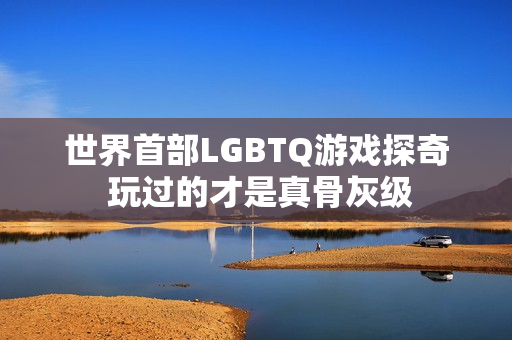世界首部LGBTQ游戏探奇 玩过的才是真骨灰级