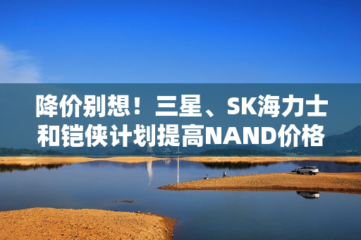 降价别想!三星、SK海力士和铠侠计划提高NAND价格 并削减产量 降价别想!三星、SK海力士和铠侠计划提高NAND价格 并削减产量