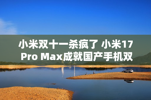 小米双十一杀疯了 小米17 Pro Max成就国产手机双冠王