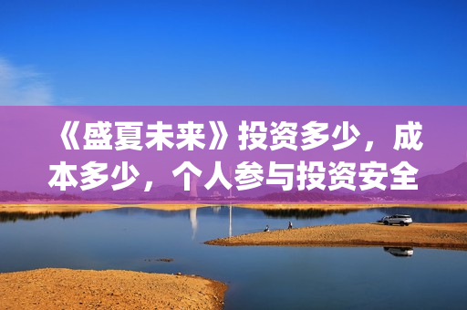 《盛夏未来》投资多少，成本多少，个人参与投资安全吗？(电影:盛夏未来)