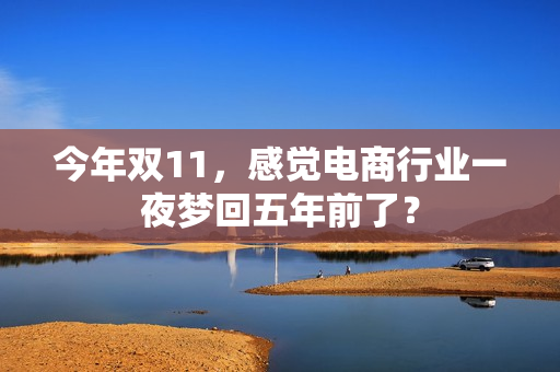 今年双11，感觉电商行业一夜梦回五年前了？