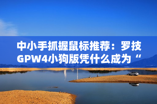 中小手抓握鼠标推荐：罗技GPW4小狗版凭什么成为“小手玩家的终极选择”？