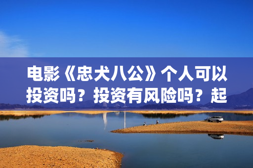 电影《忠犬八公》个人可以投资吗？投资有风险吗？起投门槛是多少？(电影《忠犬八公》免费的)