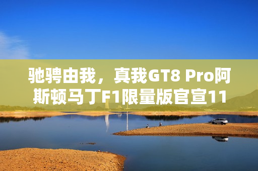 驰骋由我，真我GT8 Pro阿斯顿马丁F1限量版官宣11月10日开售
