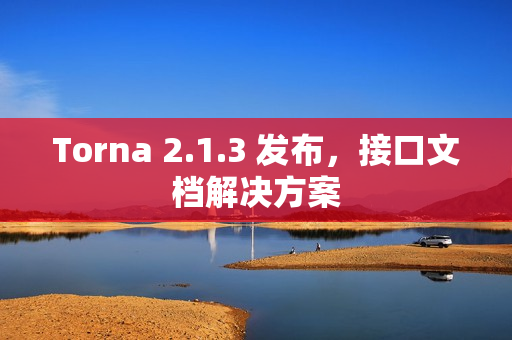 Torna 2.1.3 发布，接口文档解决方案