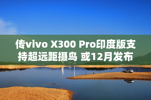 传vivo X300 Pro印度版支持超远距摄鸟 或12月发布