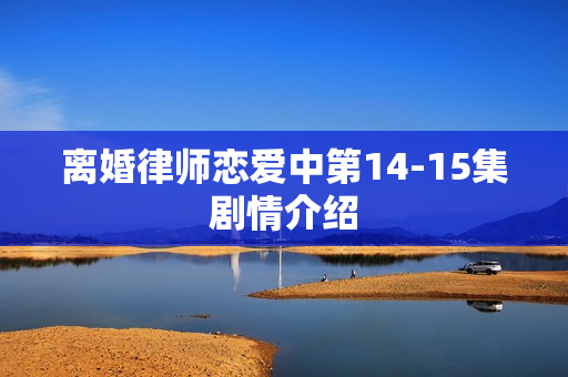 离婚律师恋爱中第14-15集剧情介绍