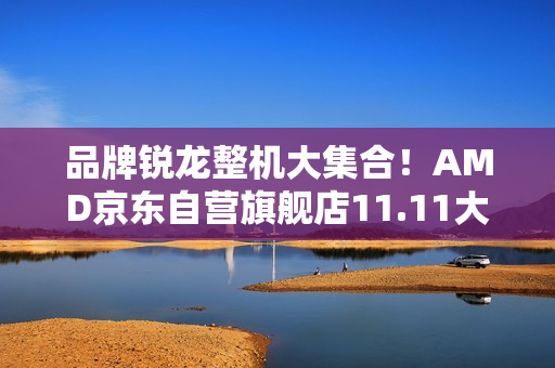 品牌锐龙整机大集合！AMD京东自营旗舰店11.11大促进行中