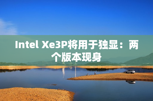 Intel Xe3P将用于独显：两个版本现身